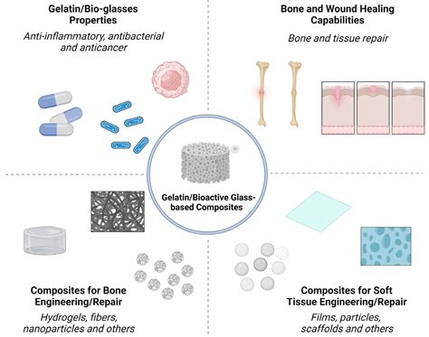  Biocompatible Bone Scaffolding: Revolutionizing Orthopedic Applications with Bioactive Glass!