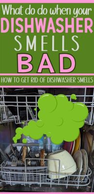 Dishwasher Smells When Running: A Symphony of Scents and Solutions