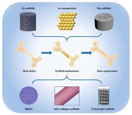  Elastine: Een Biomateriaal Wondermiddel voor Weefselregeneratie!