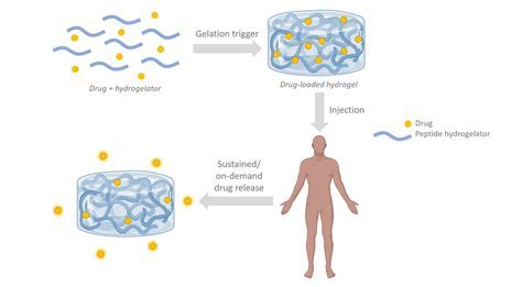  Gelatin: De Biocompatibele Held voor Weefselregeneratie en Geneesmiddel Afgifte!