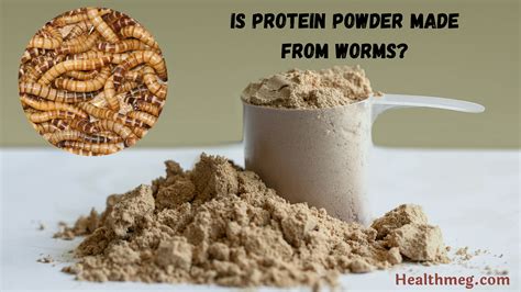 How is Protein Powder Made from Worms: A Dive into the Unconventional and the Unexpected