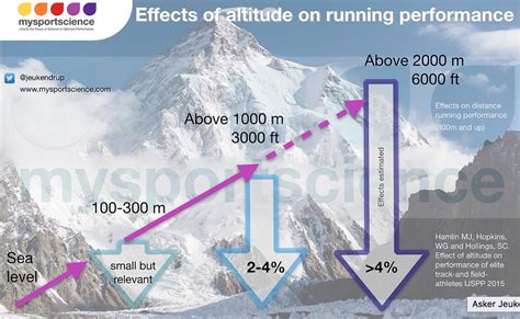 How Much Does Altitude Affect Running: A Dive into the Thin Air and Thick Questions