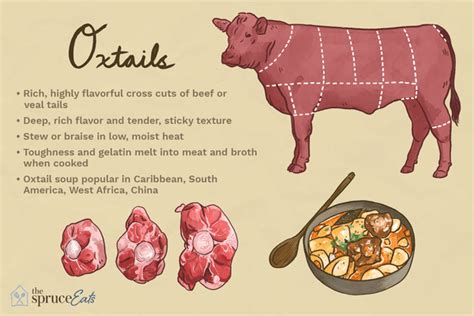 Is Oxtail High in Protein? And Why Does It Taste Like a Secret Handshake?