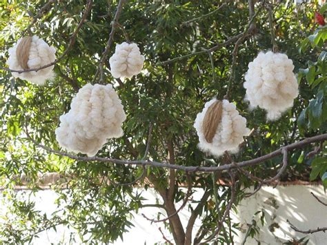  Kapokvezels: De Pluizige Wonder van de Tropische Regenwouden!