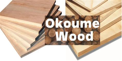  Okoumé Hout: Een Sterke Keuze voor Lichte en Duurzame Constructies!