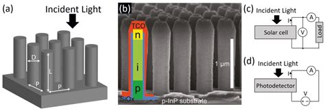  Silicium Nanodraden Voor Geoptimaliseerde Elektronica en Verbeterde Zonnepanelen!